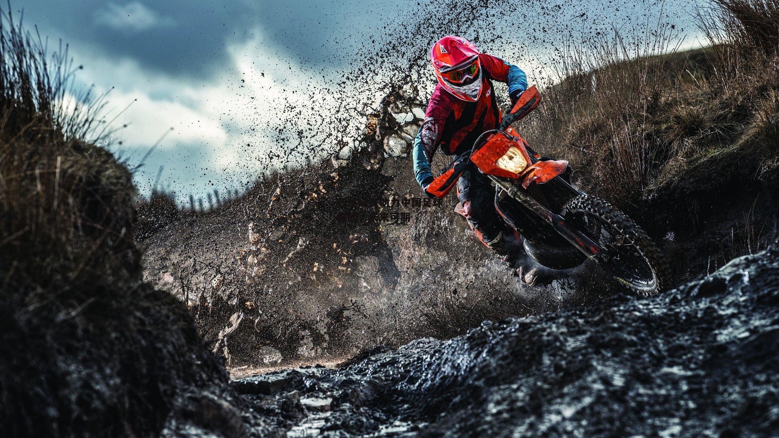 归化球员助力中国足球崛起，未来可期_杏彩体育官方网站